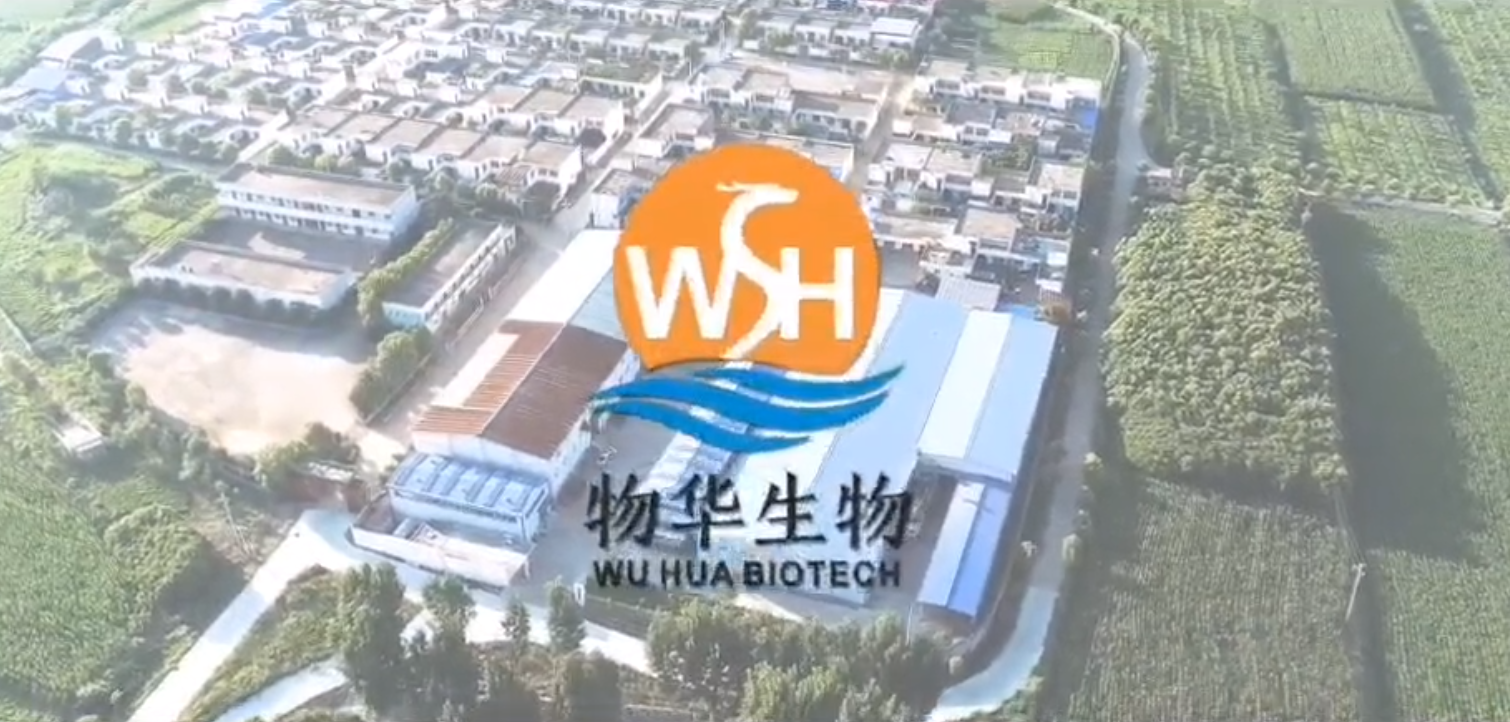 淅川县物华生物科技有限公司宣传视频
